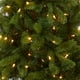 thumbnail image 2 of Árbol de Navidad de National Tree Company, 6.5 pies, con luces LED, 2 of 6