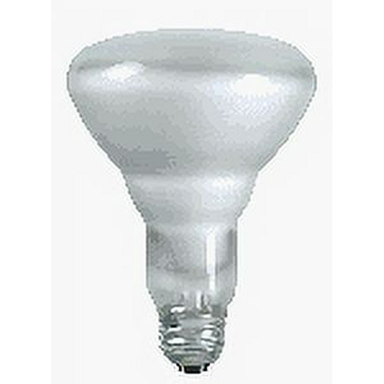 Philips 65-Watt Incandescent BR30 Flood Light Bulb Soft White (2700K) (12-Pack) Philips 65-Watt Incandescent BR30 Flood Light Bulb Soft White (2700K) (12-Pack)