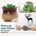thumbnail image 2 of 5 Pack Plant Saucer, Clear Plastic Plant Pot Saucer, Made Of Thicker, Stronger Plastic, With Unique Design, Durable Flower Plant Tray For Indoor And O, 2 of 5
