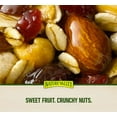 thumbnail image 4 of Nature Valley Chewy Trail Mix Fruit & Nut Granola Bars (48 ct.), 4 of 4
