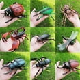 thumbnail image 2 of POINTERTECK Araignées Fausses Réalistes Cricket Coccinelle Insecte Modèle de Simulation, 2 of 3