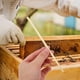 thumbnail image 2 of 100 tubos de repuesto para casas de abejas, tubos de repuesto para nidos de abejas, tubos de paja de trigo natural, 2 of 8