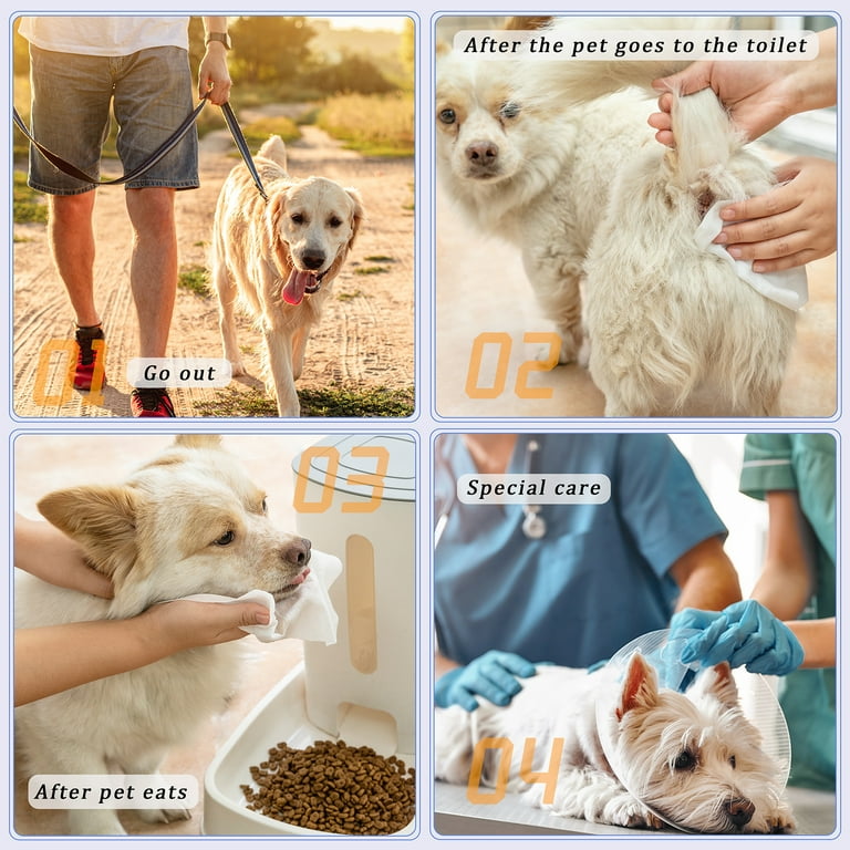 Face Wipes For Dogs corona.dothome.co.kr