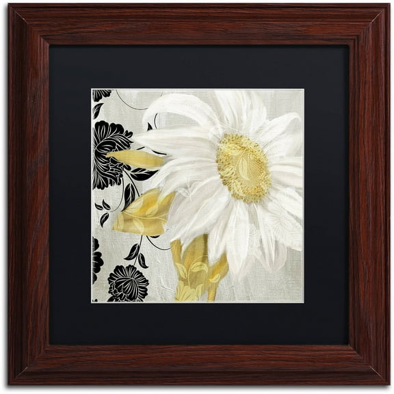 Trademark Fine Art "Sunroom II" Canvas Art by Color Bakery Black Matte, Wood Frame