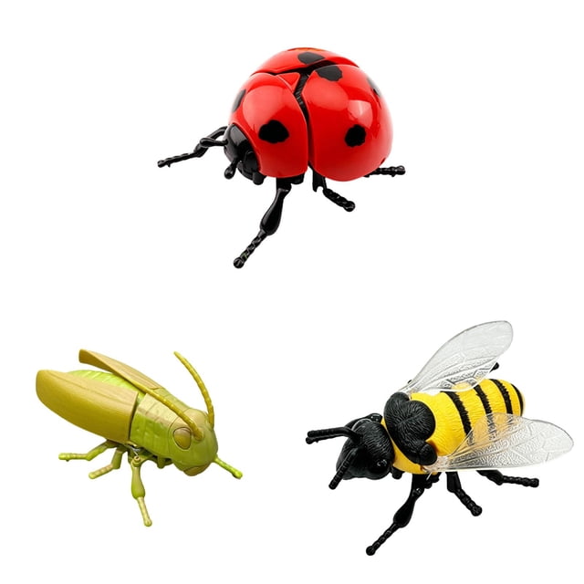YWIYIUD 3 Pcs 2.44x4.02x1.65 Pouces Jouets Réalistes en Forme d'Insectes Modèle pour l'Apprentissage des Sciences et Cadeaux Éducatifs en Science Mini Modèle en Forme d'Insectes pour Ornements de Salon à la Maison