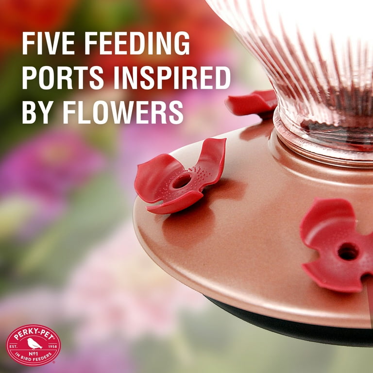 Perky Pet Hummingbird Feeder Replacement Parts visitchile.cl