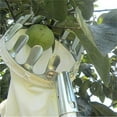 thumbnail image 5 of Fruit Picker Tool, Metal Cherry Picker Tool, Fruit Picker Basket Head, Fruit Harvester Attachment, Garden Hardware Tools - for Harvest Picking Apples Citrus Pear Peach (1PC, Silver), 5 of 9