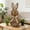 A, variant on Easter Bunny Decorations, Rattan Bunny Outdoor, Large & Small Size, Wicker Easter Bunny Figurines Decor, Easter Bunnies Statue for Home Indoor Farmhouse Spring Table Centerpiece Decor