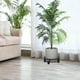 thumbnail image 2 of Soporte de hierro para plantas, macetero con ruedas bloqueables, taburete para plantas Negro, 2 of 8