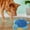 A, variant on SIfdSeng New Dog Sound Toy Turtle 25Cm Plush Turtle Companion Interactive Doll Pet Supplies Suitable for Heavy Chewers Teething Toys for Puppies Durable Dog Toys