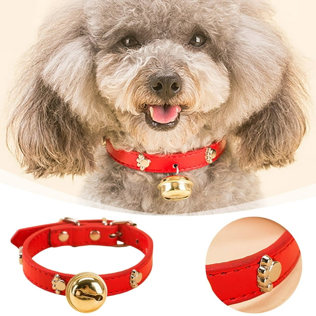 Oliegs Couverture Motif en Forme de Collier pour Chat et Festivals et Usage Quotidien