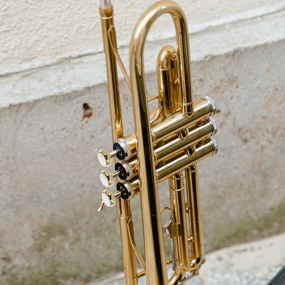 Raindrops 3Pcs White Trumpet Valve Finger Button Kit for Instrument Part Replacement