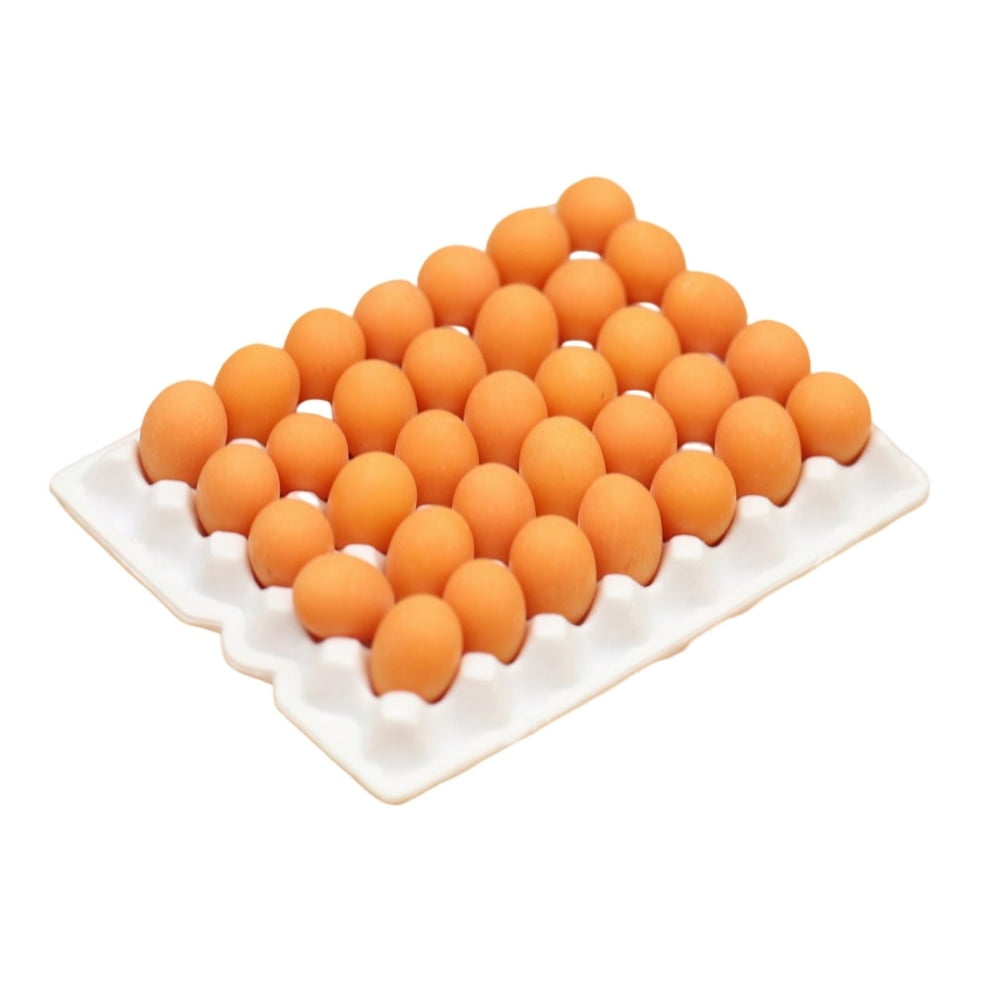 POINTERTECK Miniature Egg Tray 1 Set Decorative Fadeless Exquisite Play House Egg Tray Toy