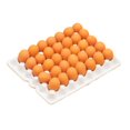 thumbnail image 1 of POINTERTECK Miniature Egg Tray 1 Set Decorative Fadeless Exquisite Play House Egg Tray Toy, 1 of 5