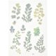 thumbnail image 2 of 10 hojas de pegatinas de plantas en miniatura de hoja de arce verde de 15 x 10,5 x 0,01 cm, 2 of 3