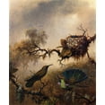 thumbnail image 2 of Heade, Martin Johnson 15x17 Black Ornate Wood Framed with Double Matting Museum Art Print Titled - White Vented Violet Ear, 2 of 4
