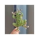 thumbnail image 1 of 1pc European & American Style Frog Brooch Metallic Painted Animal Pin For Both Men And Women, 1 of 1