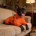 thumbnail image 3 of Winter Windproof Trench Coat for Dogs Four Legged Warm Pet Jacket Polyester Material Fashionable Cold Weather Apparel for All Breeds, 3 of 3