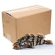 thumbnail image 3 of Cajas de envío aisladas con revestimiento de aluminio para almacenamiento y embalaje de mariscos fríos, protección térmica para productos domésticos o comerciales, 3 of 8