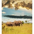 thumbnail image 3 of Savannah Duvet Cover Set, Big Savannah Family with Dark Cloudy Dramatical Sky Grassland Landscape, Decorative 2 Piece Bedding Set with 1 Pillow Shams, Twin Size, Yellow Grey and Blue, by Ambesonne, 3 of 3