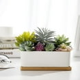 thumbnail image 4 of MyGift Artificial Succulents in Ceramic Pot with Bamboo Tray, 4 of 7