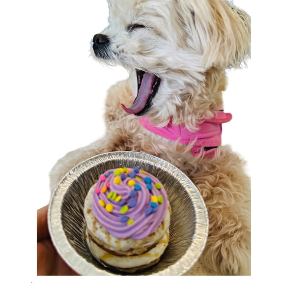 DEZICAKES Dog Birthday Cake- Purple Petit-for Dog Cake- Boxed & Decorated Peanut Butter-Cinnamon Dog Birthday Cake