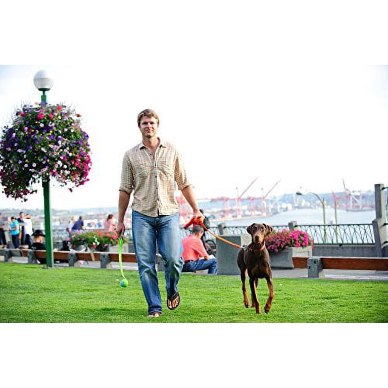 Dog Ball Launcher for Large Breeds photo 8
