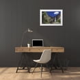 thumbnail image 3 of Flaherty, Dennis 24x17 White Modern Wood Framed Museum Art Print Titled - CA, Yosemite Apple tree and Upper Yosemite Falls, 3 of 4