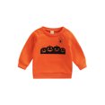 thumbnail image 1 of Halloween Bebé NiñOs NiñAs Jersey Calabaza ArañA Estampado Cuello Redondo Manga Larga Tops XBTCLXEBCO Naranja;3-4 Años, 1 of 6