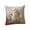 C, variant on Luoshdecor Christmas Throw Pillow Cover, 18 x 18 in Merry Christmas White Gold Elk Pillow Covers Rose Edge Couch Cushion for Living Room Bed Outdoor