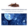 thumbnail image 4 of Ampolla hidratante Pyunkang Yul Moisture Barrier 100 ml, 4 of 6
