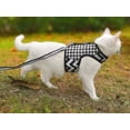 thumbnail image 3 of Juego de arnés y correa para gatos Yizhi Miaow, ajustable, color negro, 3 of 8