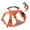 Orange, variant on Dog Harness And Leash Set No Pull Anti Escape Pet Vest for Medium Large Dogs Shiba Inu Corgi Adjustable Reflective Chest Harness with Leash Outdoor Walking Hiking Adventure, Dog Harness*1, Leash*1