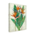 thumbnail image 2 of Trademark Fine Art 'Paradise Vacation II' Canvas Art by Chariklia Zarris, 2 of 4