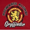 thumbnail image 3 of Harry Potter Gryffindor Little Boys Fleece Pullover Hoodie Little Kid to Big, 3 of 5