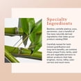 thumbnail image 3 of Bamboo Creme Frappee by Erborian for Women - 1.7 oz Cream Erborian Erborian, 3 of 6