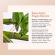 thumbnail image 3 of Bamboo Creme Frappee by Erborian for Women - 1.7 oz Cream Erborian Erborian, 3 of 6