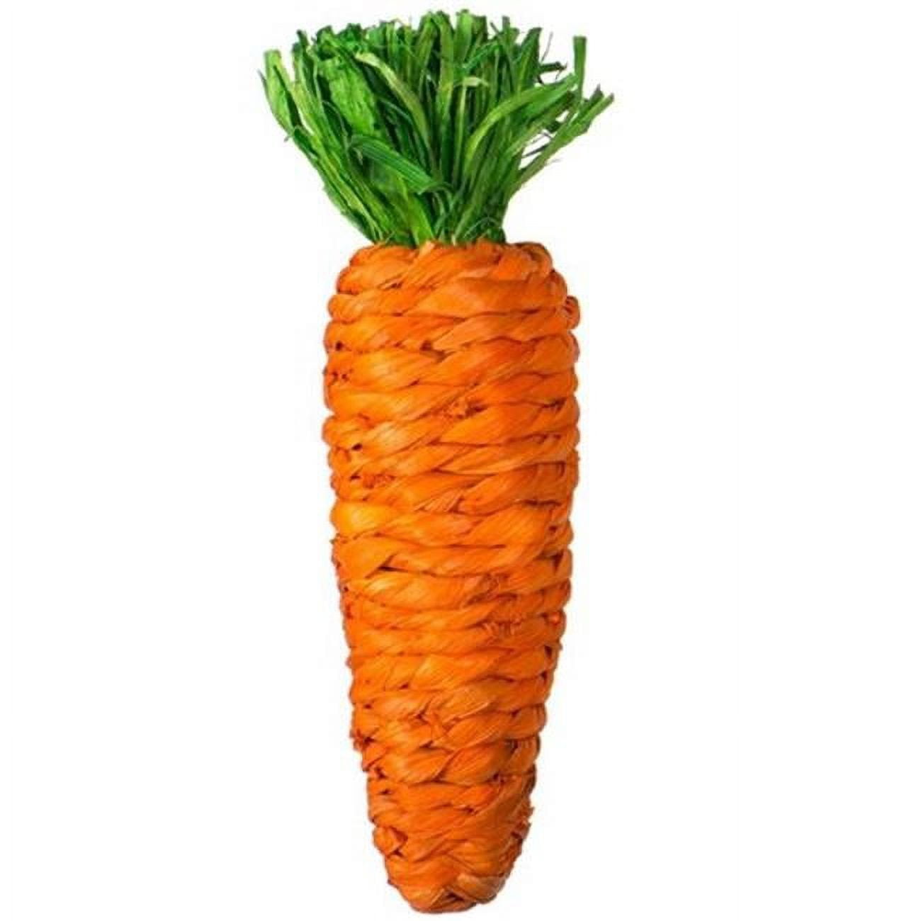 Prevue Pet Products Grassy Nibblers Carrot - 1082