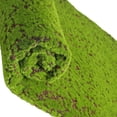 thumbnail image 4 of Miangastore Artificial Moss Fake Lawn Artificial Turf Micro Landscape Accessory Decorative Faux Moss, 4 of 9