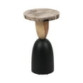 thumbnail image 3 of Sagebrook Home Neutral Modern 20" Petrified Wood Inspired Suar Wood Natural Side Accent Table, 3 of 8