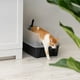 thumbnail image 5 of Caja de Arena Grande IRIS USA Negro con Escudo Anti-Salpicaduras y Paleta para Gatos, 5 of 8