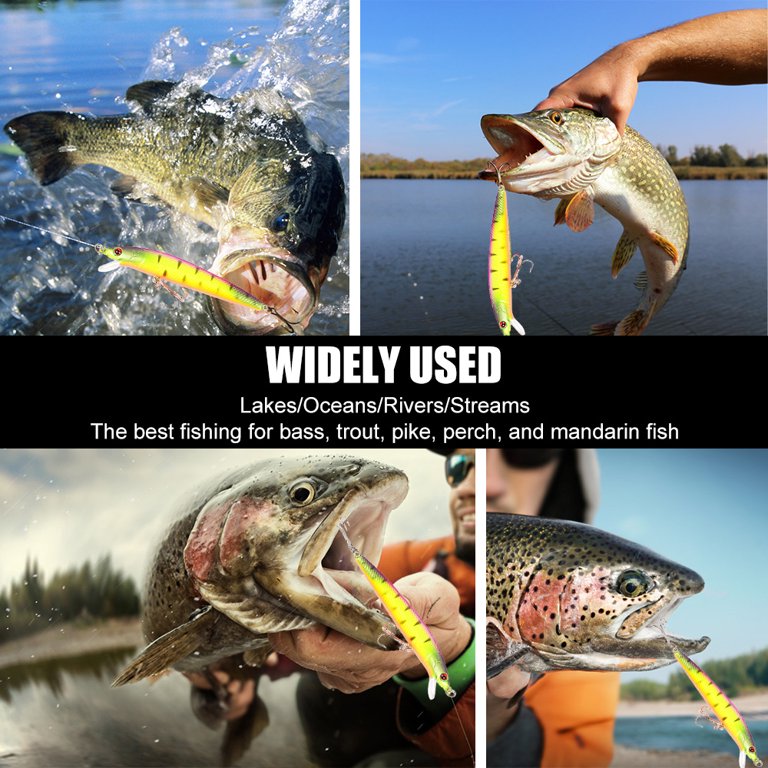 best lures for saltwater salmon fishing OROOTL Kit, 6 Pack Assorted Surf Fishing Jerkbait Minnow Lures Hard Baits Popper Plugs Striped Bass Offshore Ocen Gear Tackle : Sports & Outdoors THE GREATEST STEELHEAD LURE EVER