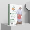 thumbnail image 3 of SaluVera, 10 unidades/caja, parches para aliviar el dolor en la vértebra Lumbar, extracto SaluVera Parche de la vértebra lumbar, 3 of 5