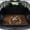 Beagle Dog Daisy Pocket, variant on COEQINE SUV Cargo Liner for Pets, All Season Trunk Liner Machine Washable Cargo Cover Cute Dog Seat Cover for SUV, Sedan, Truck, Universal Fit, Brown Cow Leopard Print