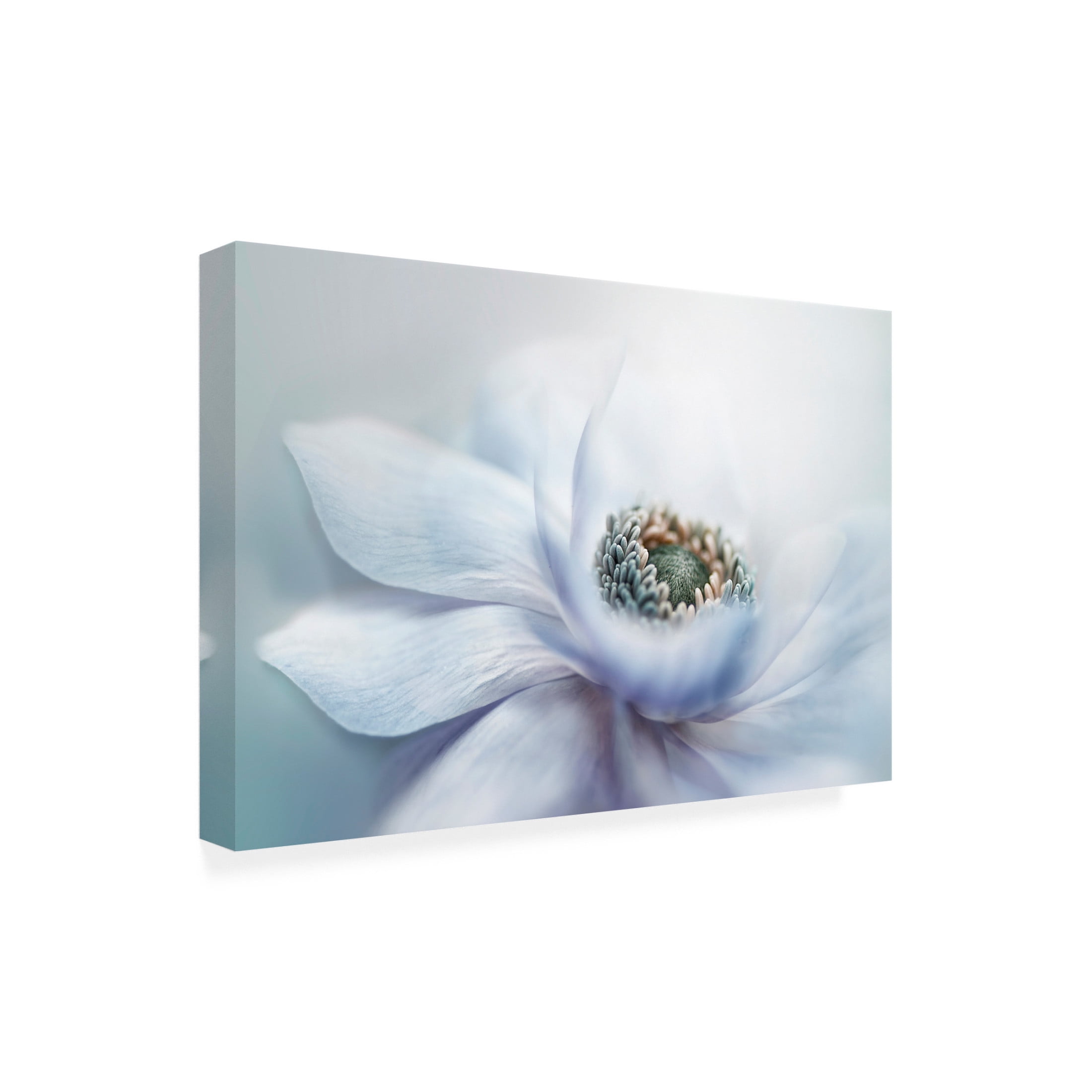 Trademark Fine Art Jacky Parker Chill Canvas Wall Art