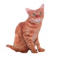 thumbnail image 1 of Almohada de animales de peluche, juguete de peluche de gato de simulación 3D, decoración bonita, respaldo, muñeca gatita, almohada para regalo para el Estilo B, 1 of 9