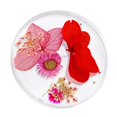 thumbnail image 5 of Decoración 3D Zulema Flores Secas Naturales Para Uñas Acrílicas, 5 of 5