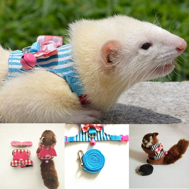 Neinkie Pieces Guinea Pig Harness and Leash Ferret Rats Hamster Soft Mesh Harness Leash Vest Set with for Small Pet Rabbit Squirrel Chinchilla,Traction Rope