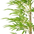 thumbnail image 3 of Northlight 47" Artificial Potted Bamboo Plant, 3 of 5