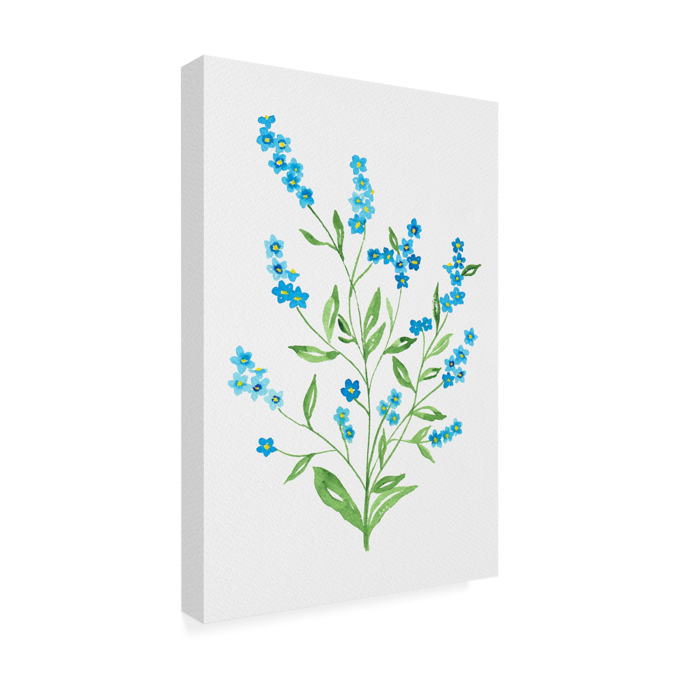 Trademark Fine Art Kata Botanical Wood forget me not Canvas Wall Art